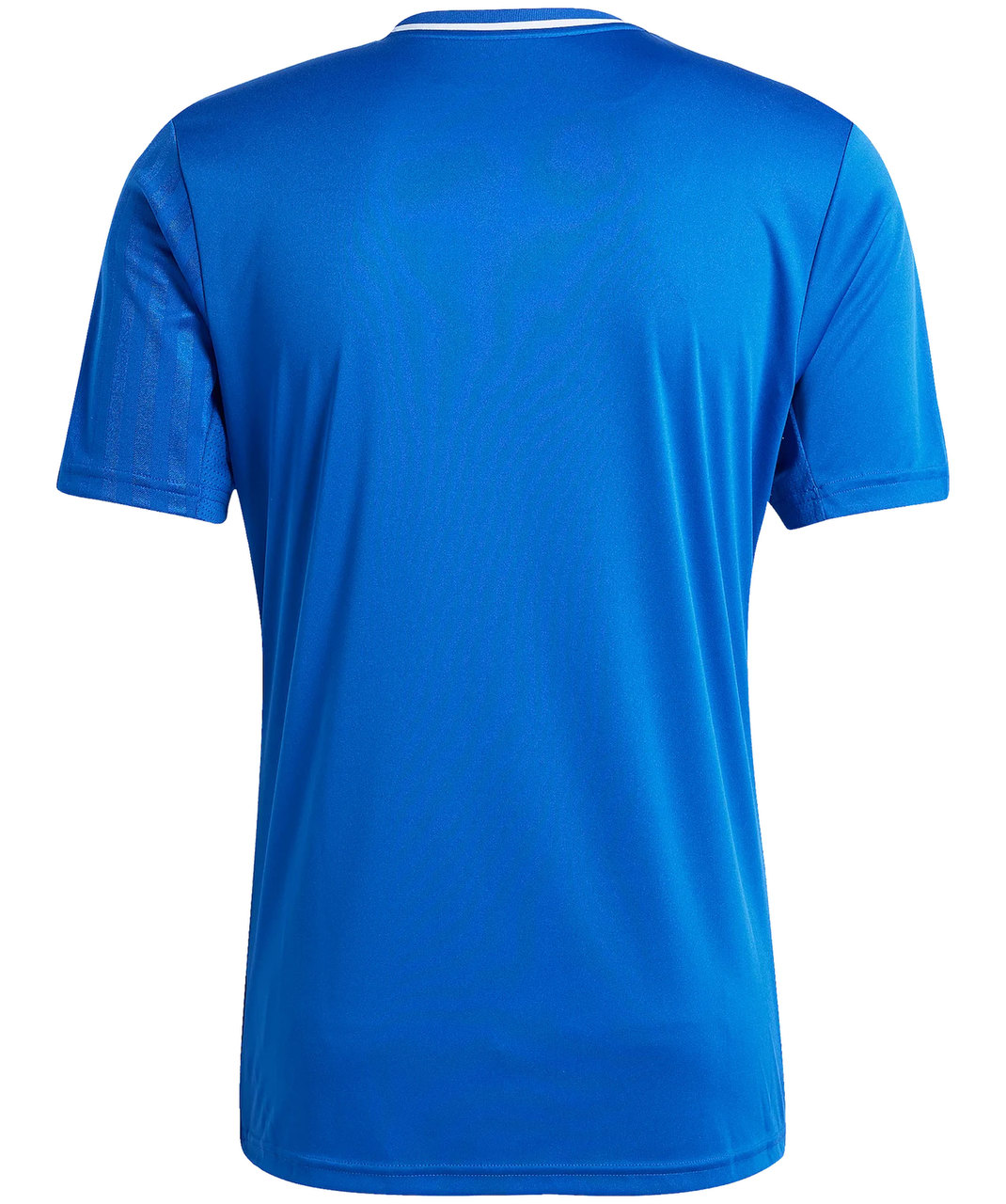 T-Shirt, Kurzarm, Rundhals, einfarbig, Baumwolle