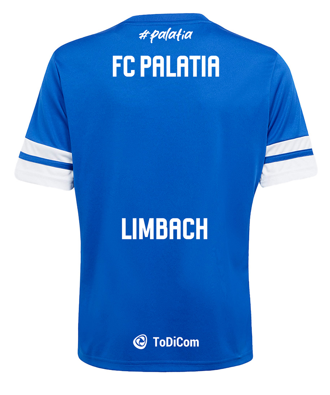 T-Shirt, Sportshirt, Rückseite sichtbar, Blau, Limbach