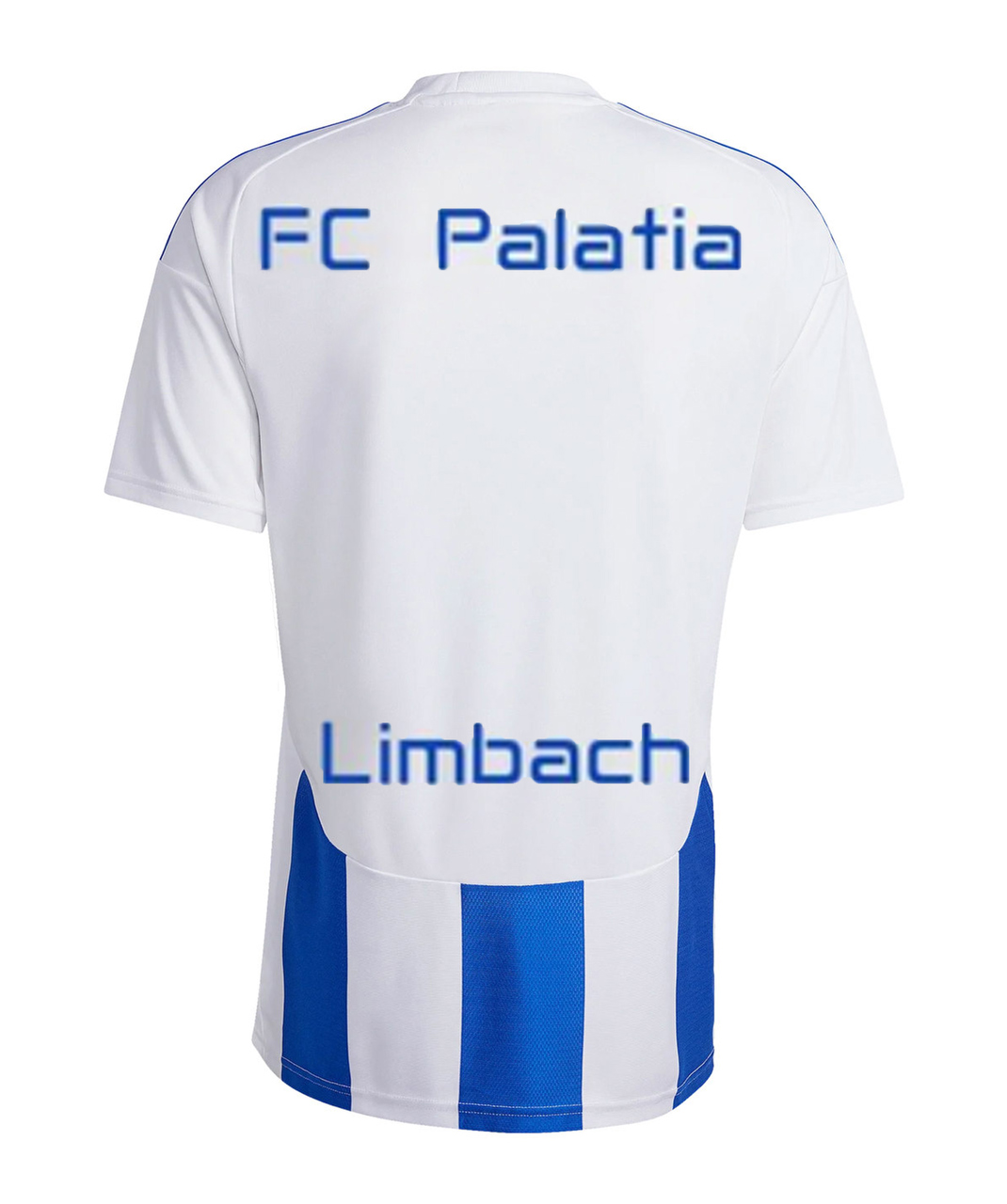 T-Shirt, Weiß, Blau Streifen, Rückendruck, Kurzarm